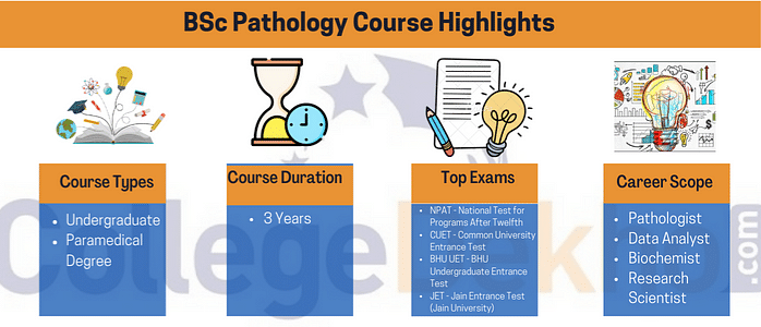 BSc Pathology Course Highlights