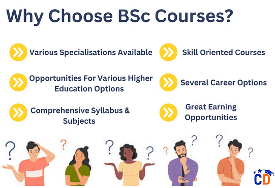 Why Choose a BSc Degree?