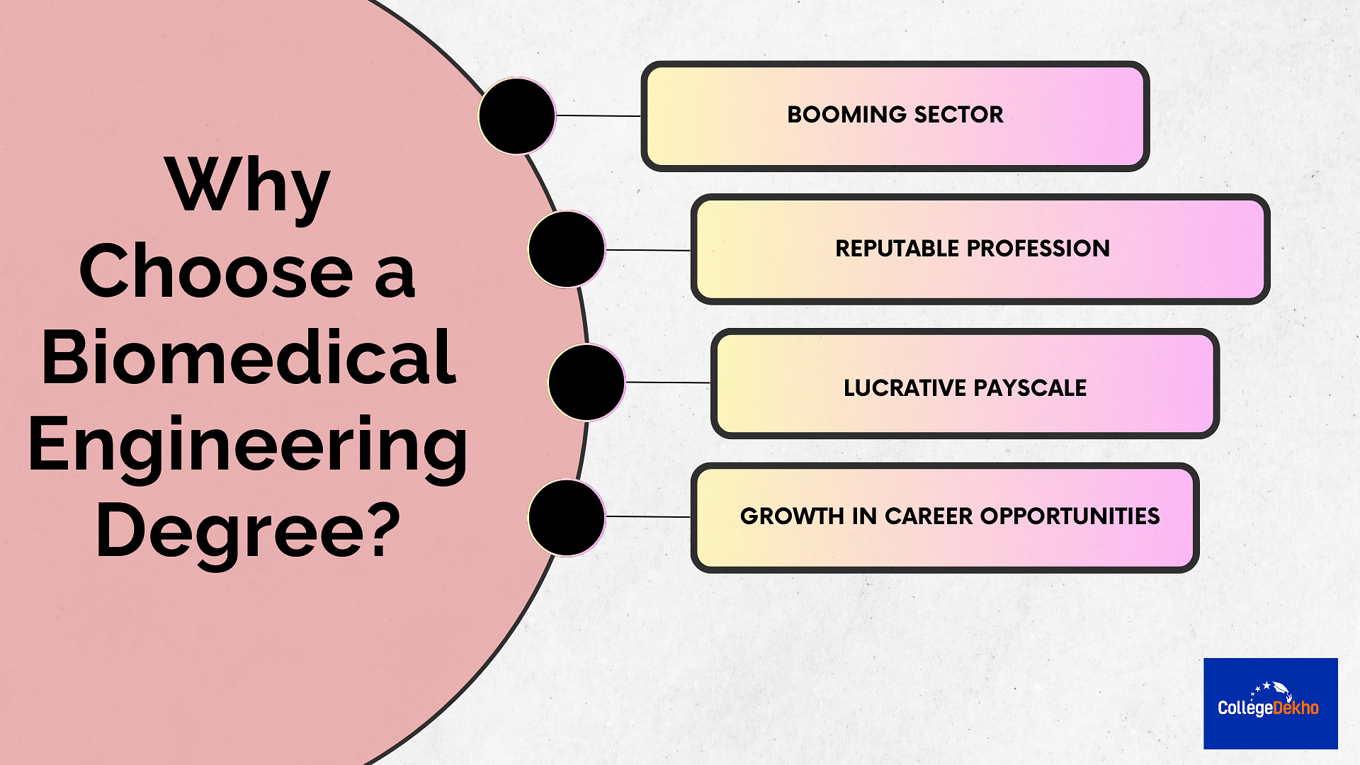 Why Choose a Biomedical Engineering Degree?