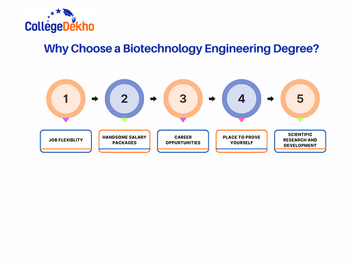 Why Choose a Biotechnology Engineering Degree?