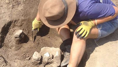 Career as Archaeologist