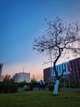 Chandigarh University