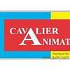 Cavalier Animation & Technologies Pvt.Ltd., (Bengaluru)