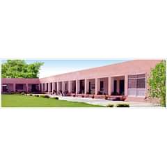 Triveni College of Education (TCE), Sirsa, (Sirsa)
