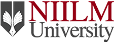 NIILM University Fees