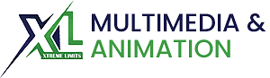 XL Multimedia Institute