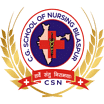 CG College of Nursing, (Bilaspur)
