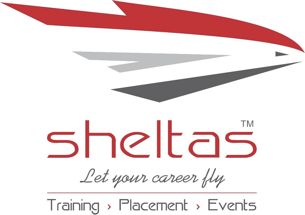 Sheltas Aviation Management Institute