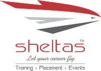 Sheltas Aviation Management Institute