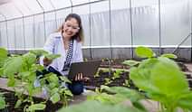 ANGRAU BSc Agriculture Counselling 2025 Registration Last Date August 6: Steps to apply online