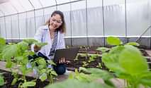 ANGRAU BSc Agriculture Counselling 2025 Registration Last Date August 6: Steps to apply online