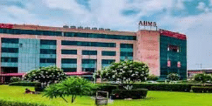 AIIMS Rishikesh OBC Category NEET Expected Cutoff Rank 2024 (Image Credit: Pexels)