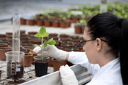 ANGRAU BSc Agriculture Seat Allotment 2025 likely This Week at ugadmissionsangrau.aptonline.in
