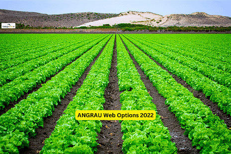 ANGRAU Web Options 2022 for Agriculture Admission to be Released in 4th week of November