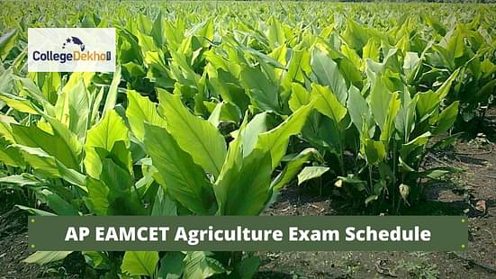 AP EAMCET Agriculture & Engineering Exam Schedule