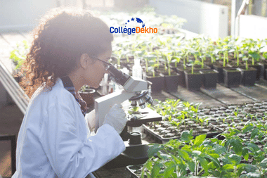 AP EAPCET Agriculture