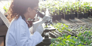 AP EAPCET Agriculture