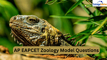 AP EAPCET Zoology Model Questions: Practice Questions With Answers