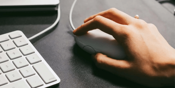 AP EDCET ఫేజ్ 2 వెబ్ ఆప్షన్లు 2024 యాక్టివేటెడ్, డైరెక్ట్ లింక్, చివరి తేదీ