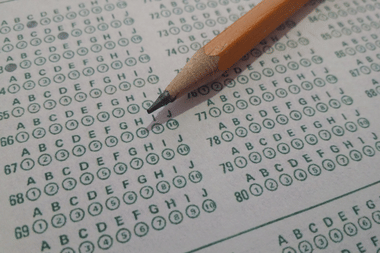 AP Inter 2nd Year Zoology Answer Key 2026