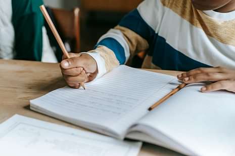 AP Inter Class 12 Civics Model Question Paper 2024 (Image Credits: Pexels)