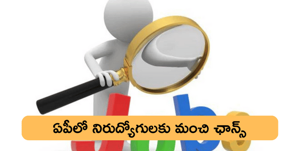 AP ANCHOR Company Jobs 2023: ఏపీలో నిరుద్యోగులకు బంపర్ ఆఫర్, పెద్ద సంస్థలో ఉద్యోగాలు, పూర్తి వివరాలు ఇక్కడ చూడండి