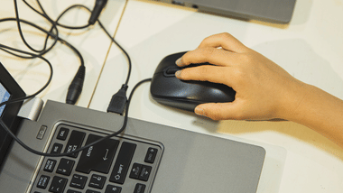 AP LAWCET Web Options Link 2024 Activated: Steps to fill college choices, last date (Image Credit: Pexels)