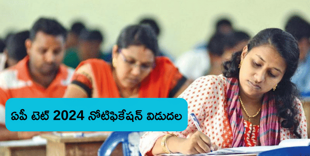 AP TET Notification 2024 Out:  ఏపీ టెట్ 2024 రిజిస్ట్రేషన్‌లు ప్రారంభం, నోటిఫికేషన్ PDF కోసం ఇక్కడ చూడండి