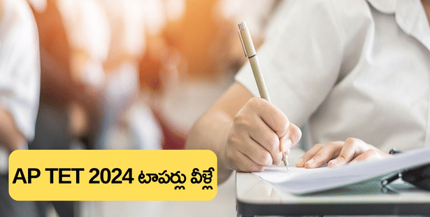 జిల్లాల వారీగా AP TET పేపర్ 1 టాపర్స్ జాబితా 2024 (AP TET Paper 1 Toppers List 2024 District-Wise)