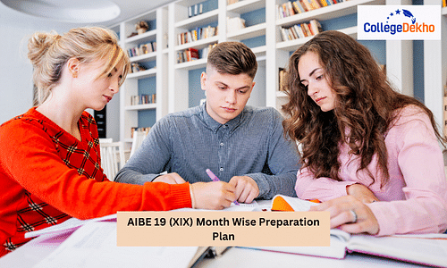 AIBE 19 (XIX) 2024 Month Wise Preparation Plan