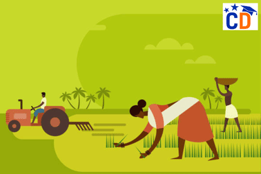 CUET 2025 Agriculture Syllabus: Check Topics, Pattern, Download PDF