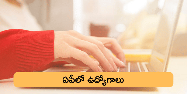 DSC Anantapur Recruitment 2023: ఐదో తరగతి అర్హతతో జూనియర్ అసిస్టెంట్ పోస్టులు, పూర్తి వివరాలు ఇక్కడ చూడండి