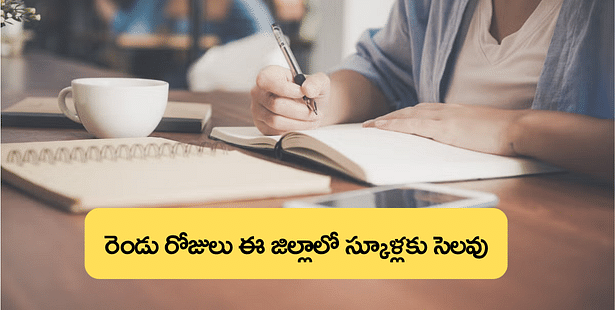 ఎల్లుండి వరకు స్కూళ్లకు సెలవులు?  (Andhra Pradesh School Holiday)