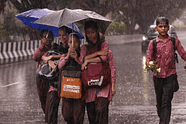 Andhra Pradesh School Holiday 8 August 2024: Will there be schools holiday due to rain?