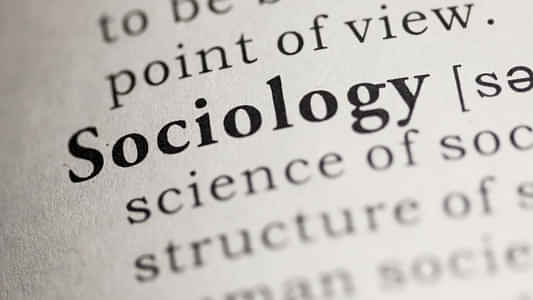 बीए सोशियोलॉजी के बाद करियर स्कोप (BA Sociology ke Baad Career Scope in Hindi) - हायर एजुकेशन, जॉब्स यहां देखें
