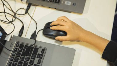 BFUHS Punjab NEET UG Seat Allotment Result 2024 (Image Credit: Pexels)