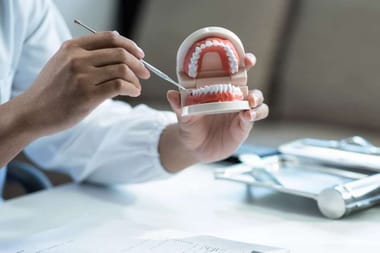 BFUHS Punjab Round 1 Counselling Dates 2025 (Released)