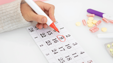 BSEB 10th Time Table 2024 Released: Download Bihar Board Date Sheet PDF