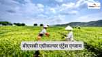 बीएससी एग्रीकल्चर एंट्रेंस एग्जाम 2025 (BSc Agriculture Entrance Exam 2025)