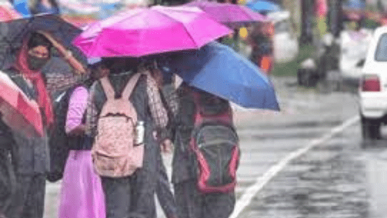 Bangalore School Holiday Tomorrow (22 October 2024): Deputy Commissioner orders shutdown on Monday due to heavy rain (Image Credit: Pexels)