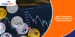 Best Economics Online Courses for Undergraduates