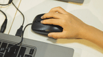 Bihar UG AYUSH Registration and Choice Filling 2024 (Today): Direct link, last date (Image Credit: Pexels)