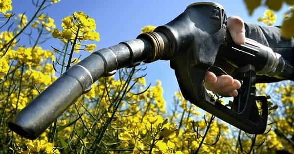 IIT Roorkee Researchers Come Up with Solution for Producing Low-Cost Biofuels