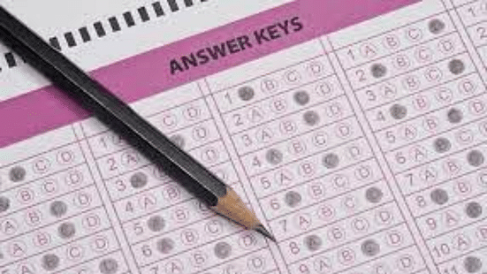 CBSE Class 12 Accountancy Answer Key 2024 (Image Credit: Pexels)