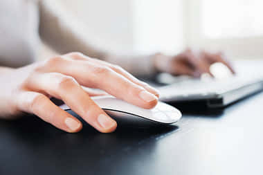 CTET Social Studies Paper 2 Answer Key 2024 (Image Credit: Pexels)
