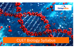 CUET 2024 Biology Syllabus (Released): Check Topics, Pattern, Download PDF