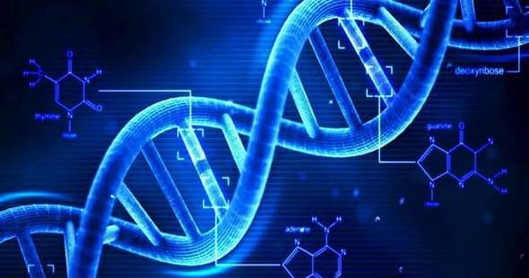 Manipal University and IISc Collaborate to Predict DNA Defects