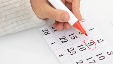 DTE MP Polytechnic Admission Counselling Dates 2024 Released (Image Credit: Pexels)