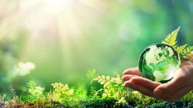 IIT Madras Hosts an Event to Promote Eco-Friendly Living