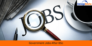 Government Jobs After BSc